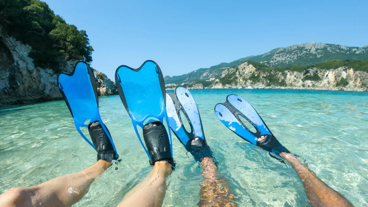 Best fins for snorkeling