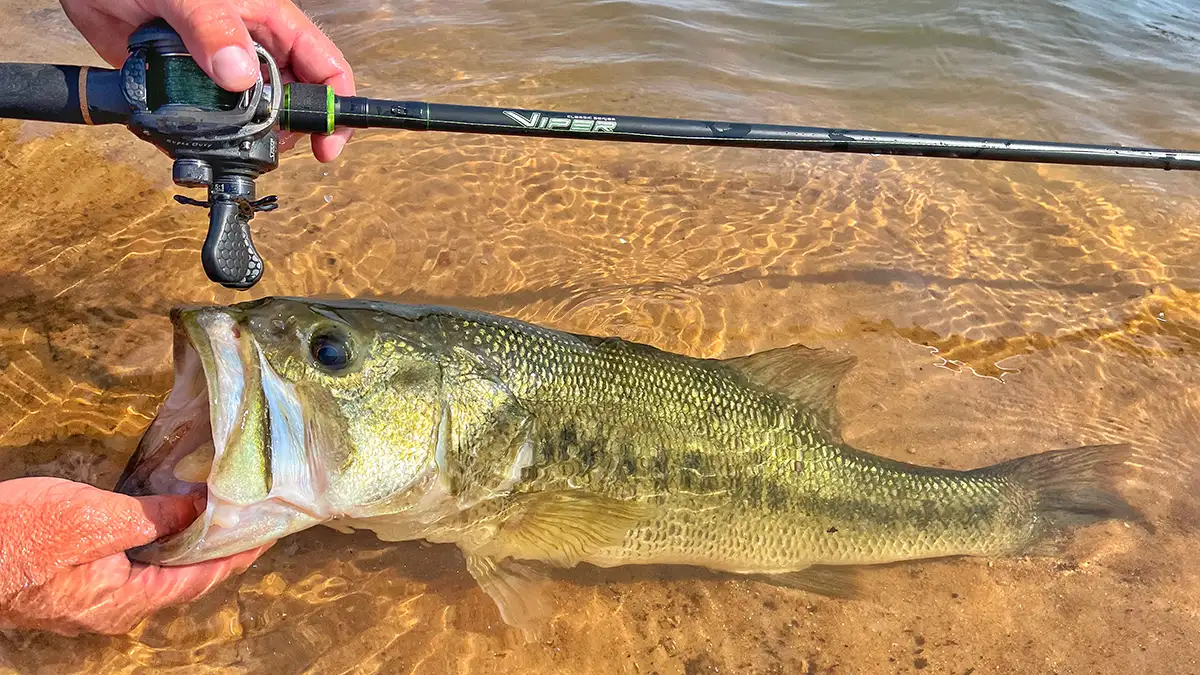 Best fishing gear