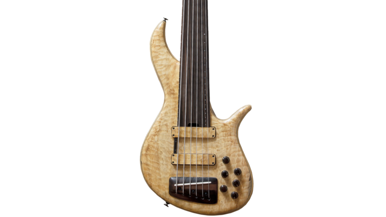 10 Best Fretless Bass Guitar (2026)