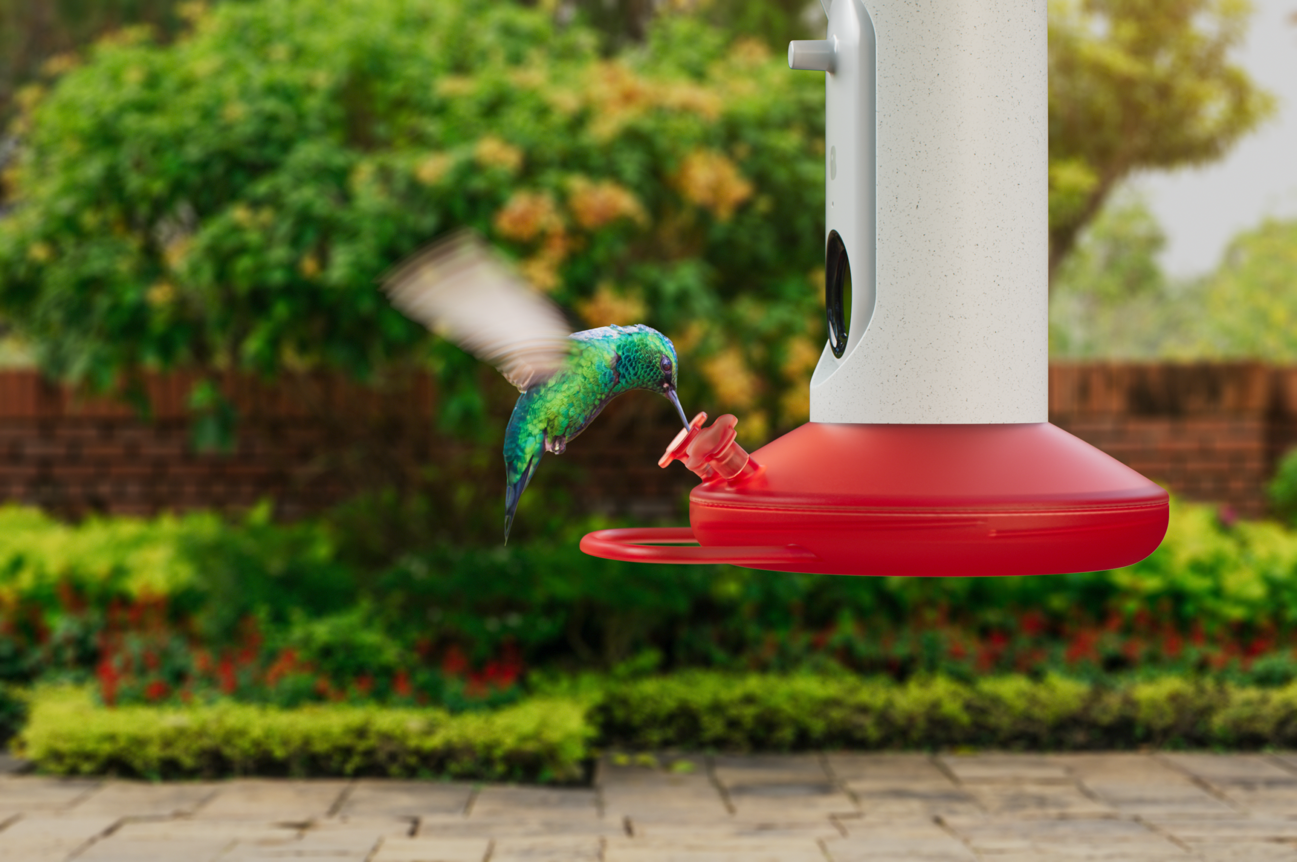 Best hummingbird feeder with camera
