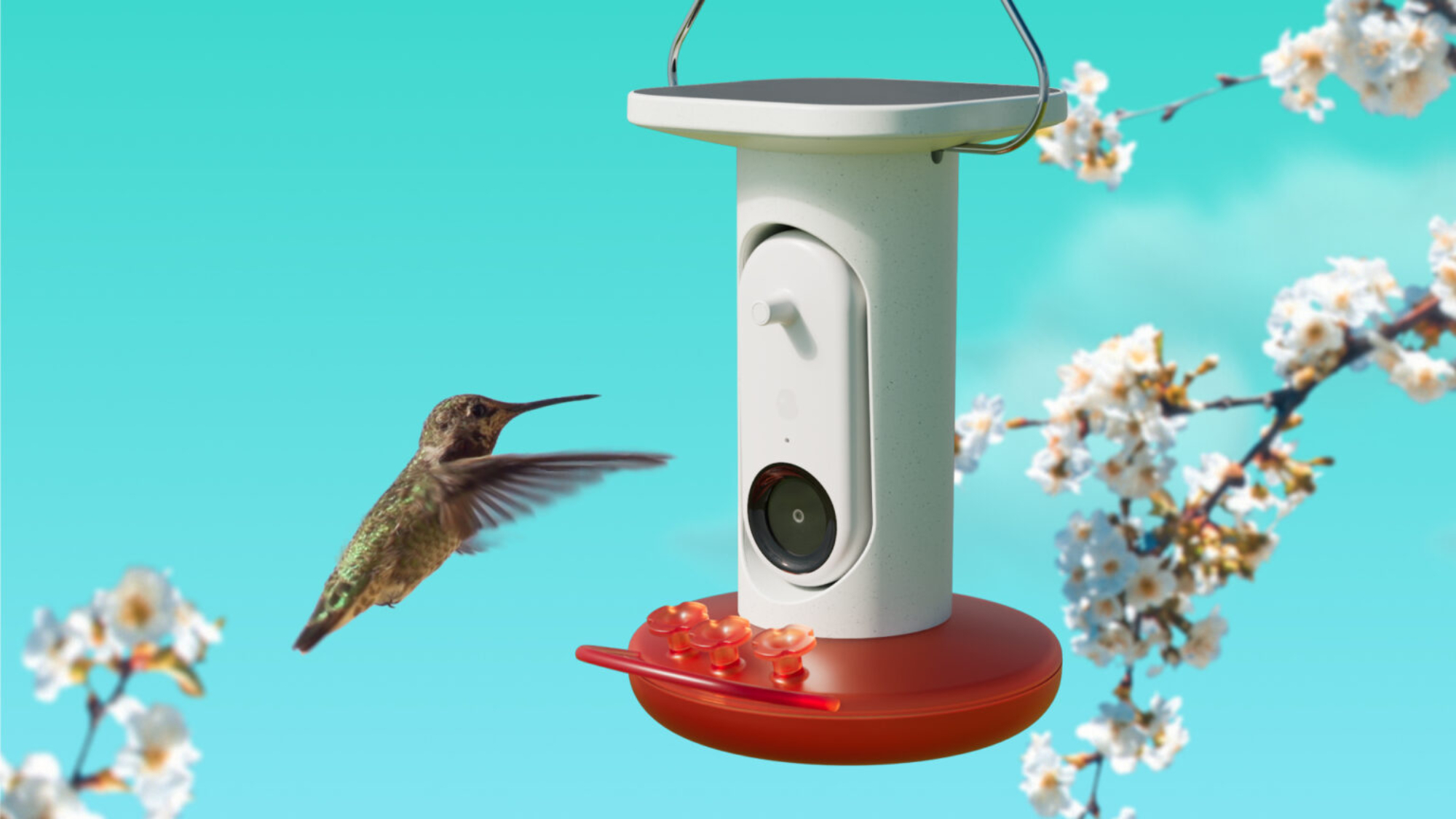 Best hummingbird feeder with camera