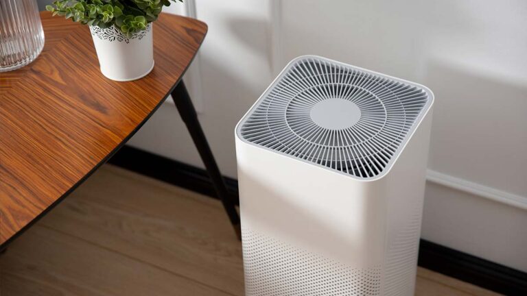 10 Best Indoor Air Purifiers (2026)