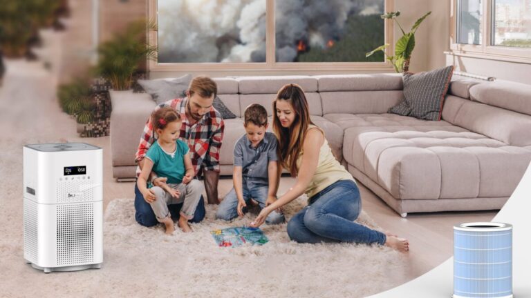 10 Best Large Room Air Purifiers (2026)