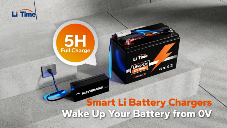 10 Best LiFePO4 Batteries And Chargers (2026)