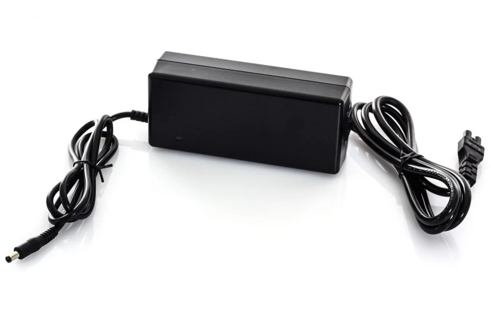 Best lifepo4 battery charger