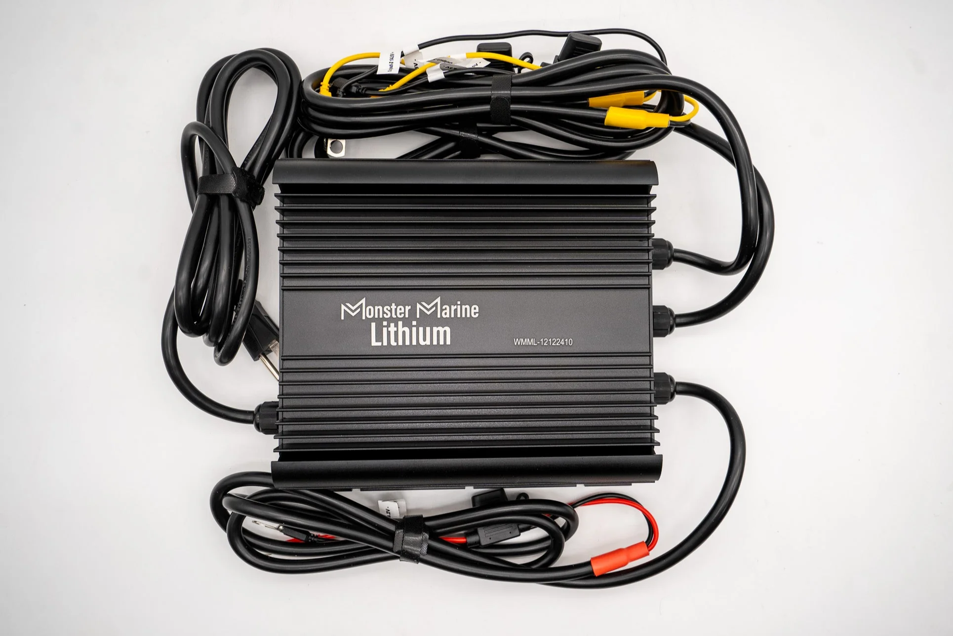 Best lifepo4 battery charger