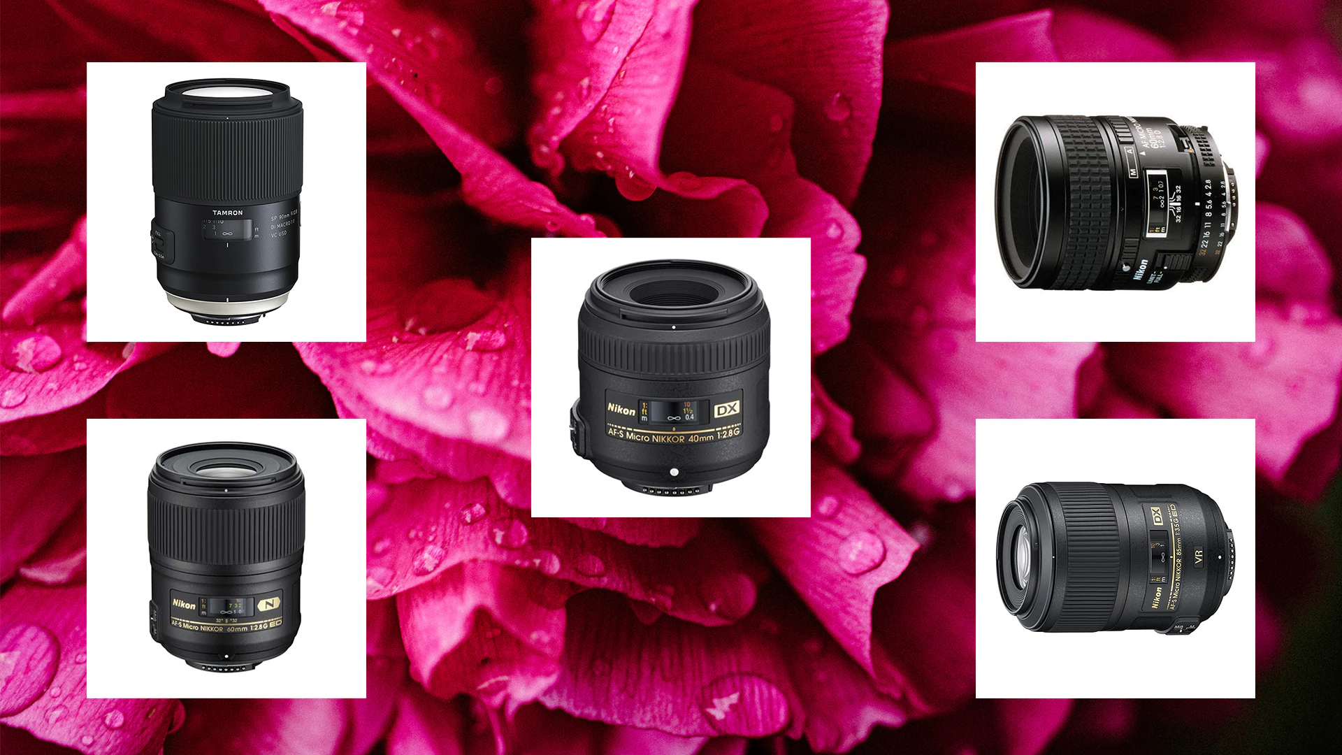 Best macro lenses for nikon