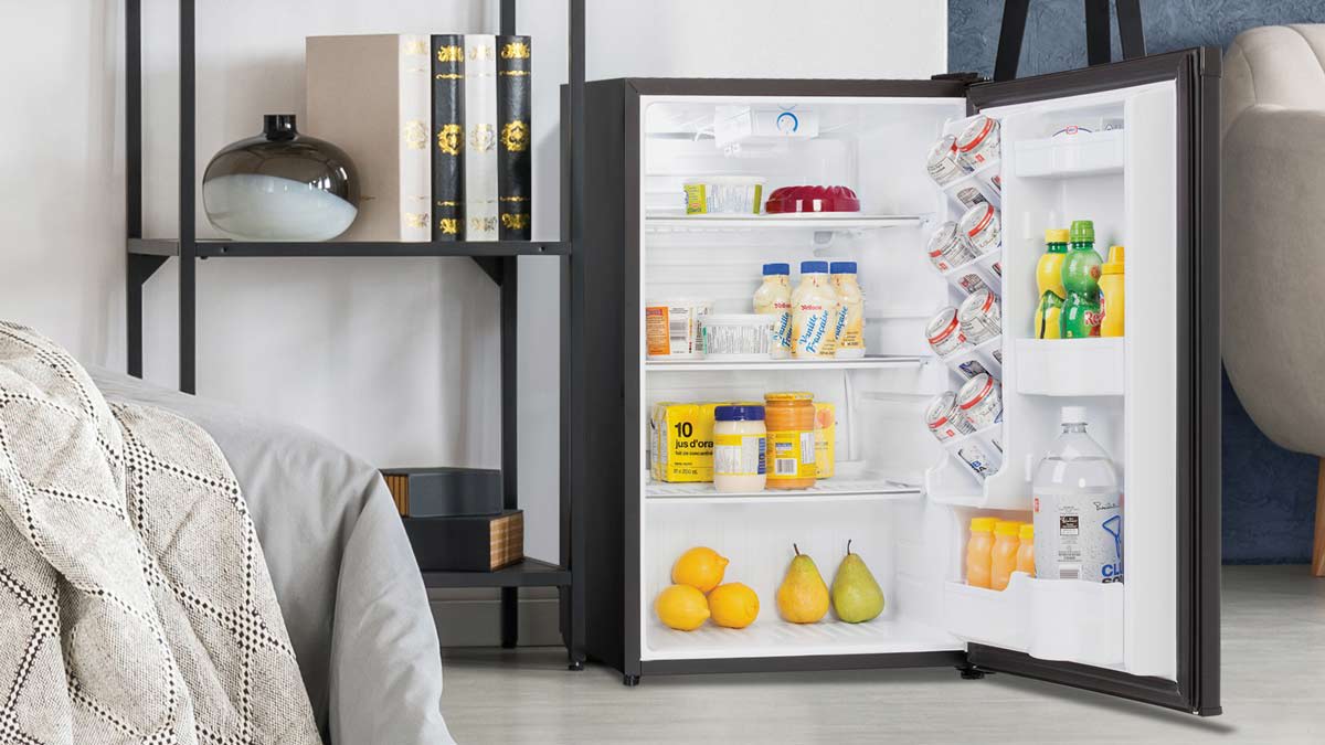 Best mini fridge with freezer