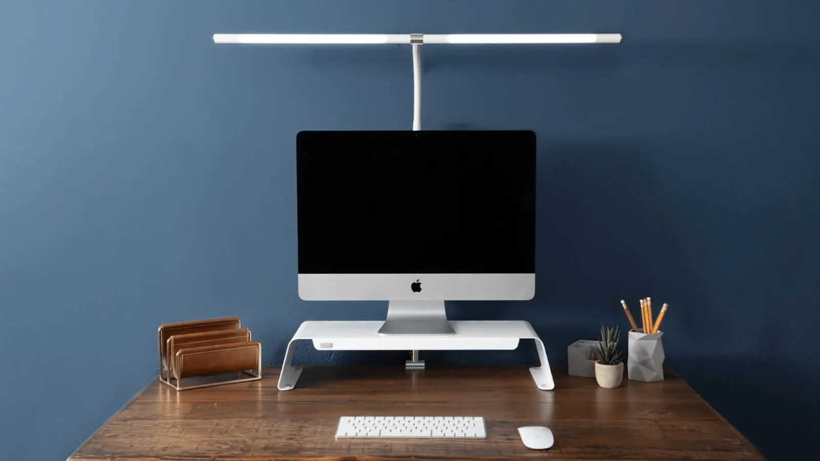 Best monitor setup for work