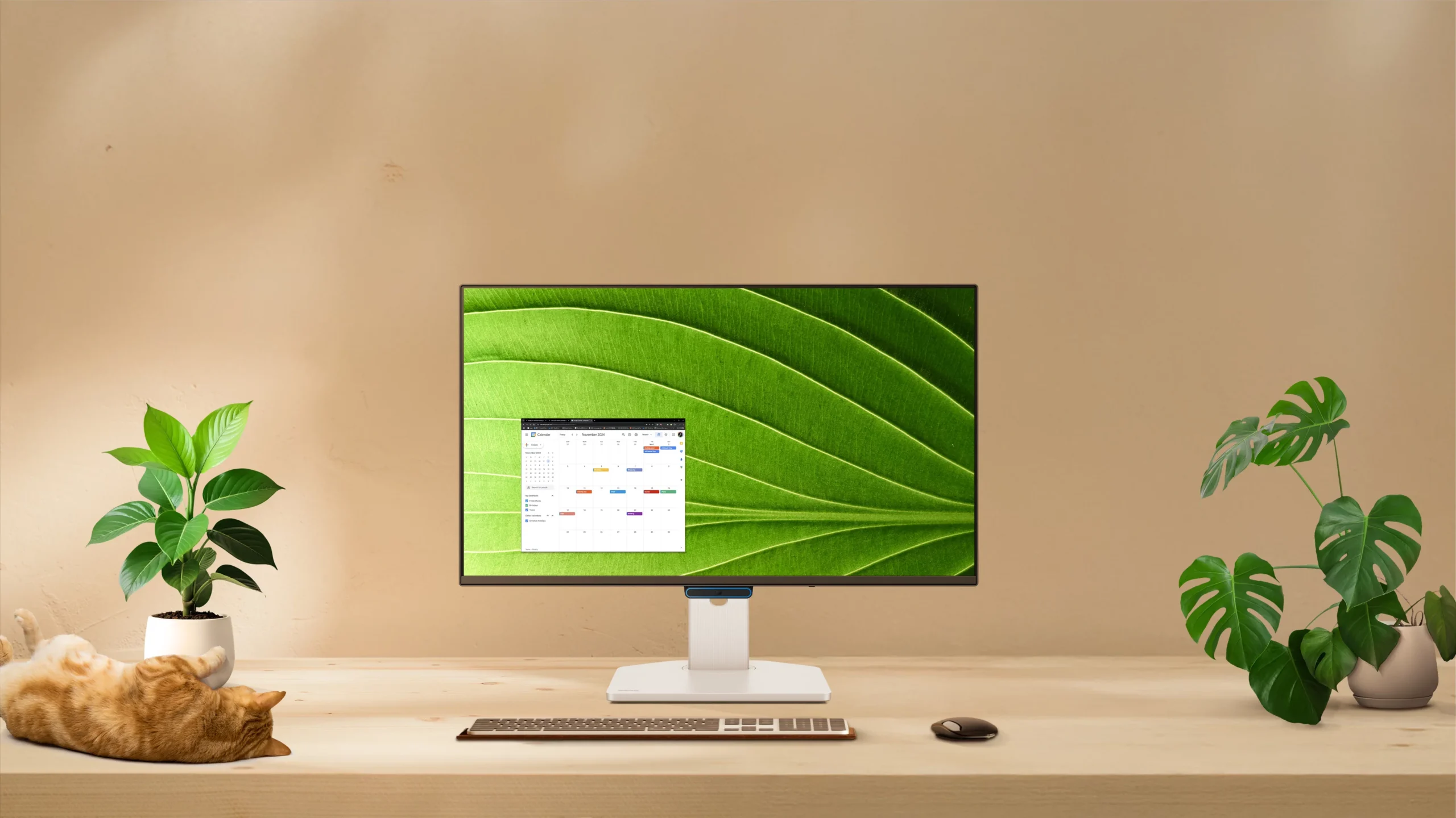 How to choose best monitors for home office