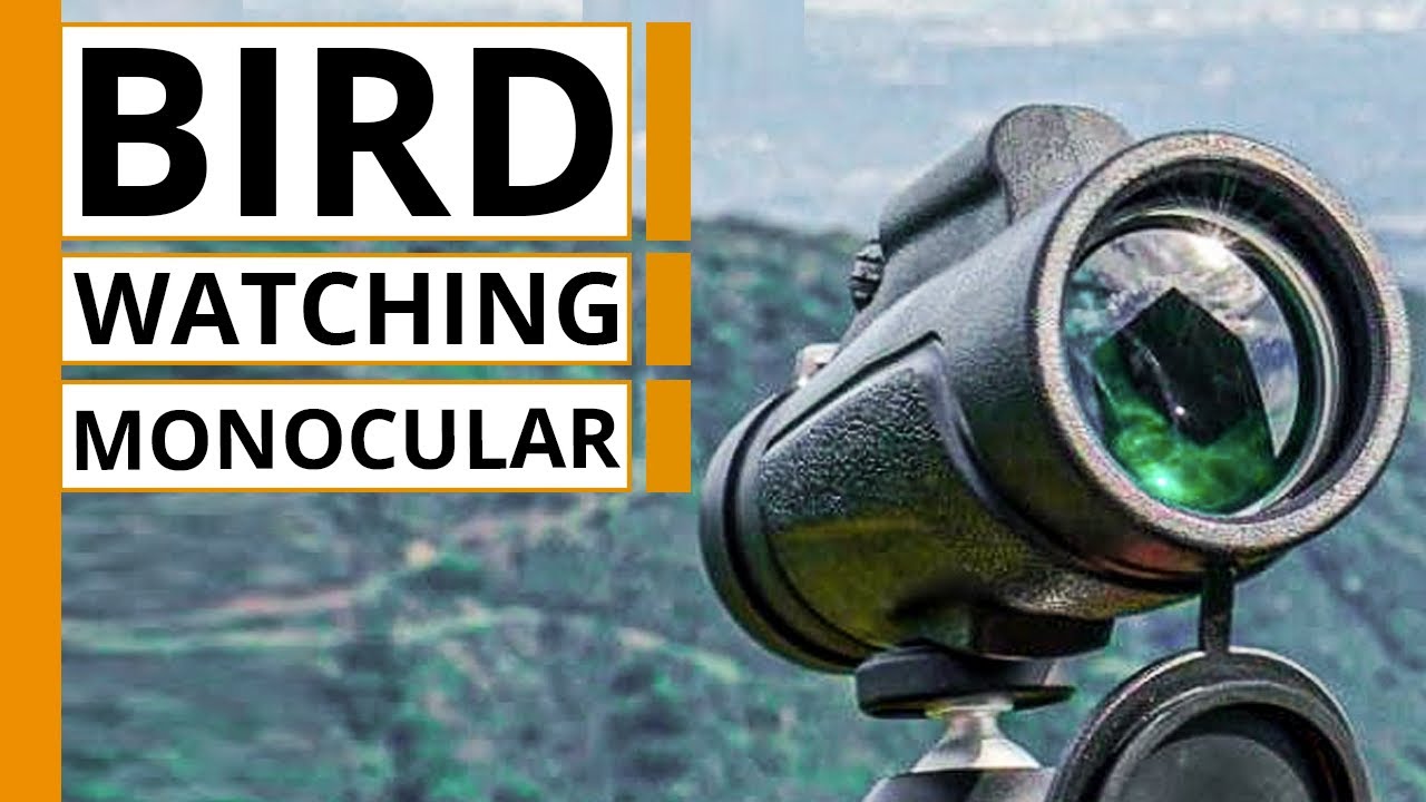 Best monocular for bird watching