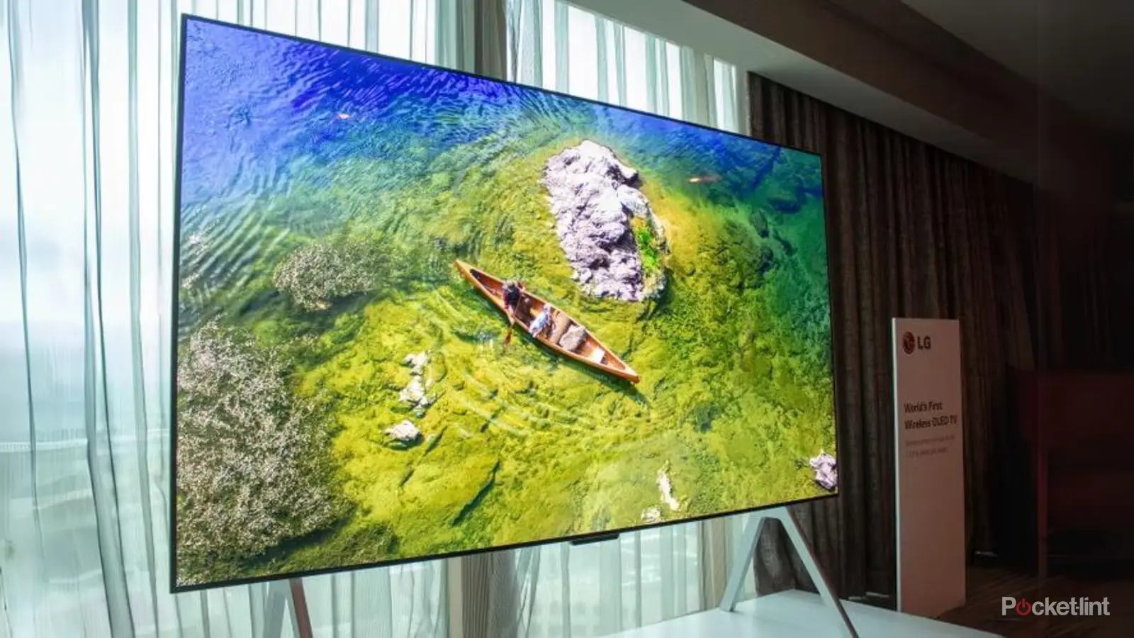 Best oled tvs and displays