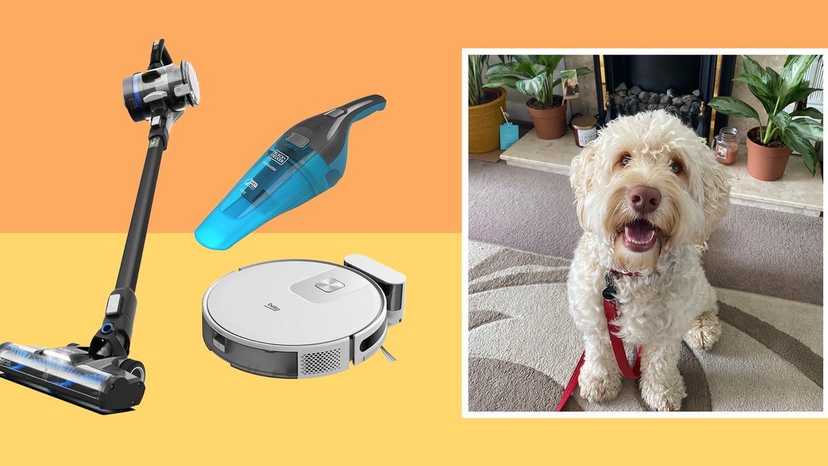 How to choose best pet hair vacuum