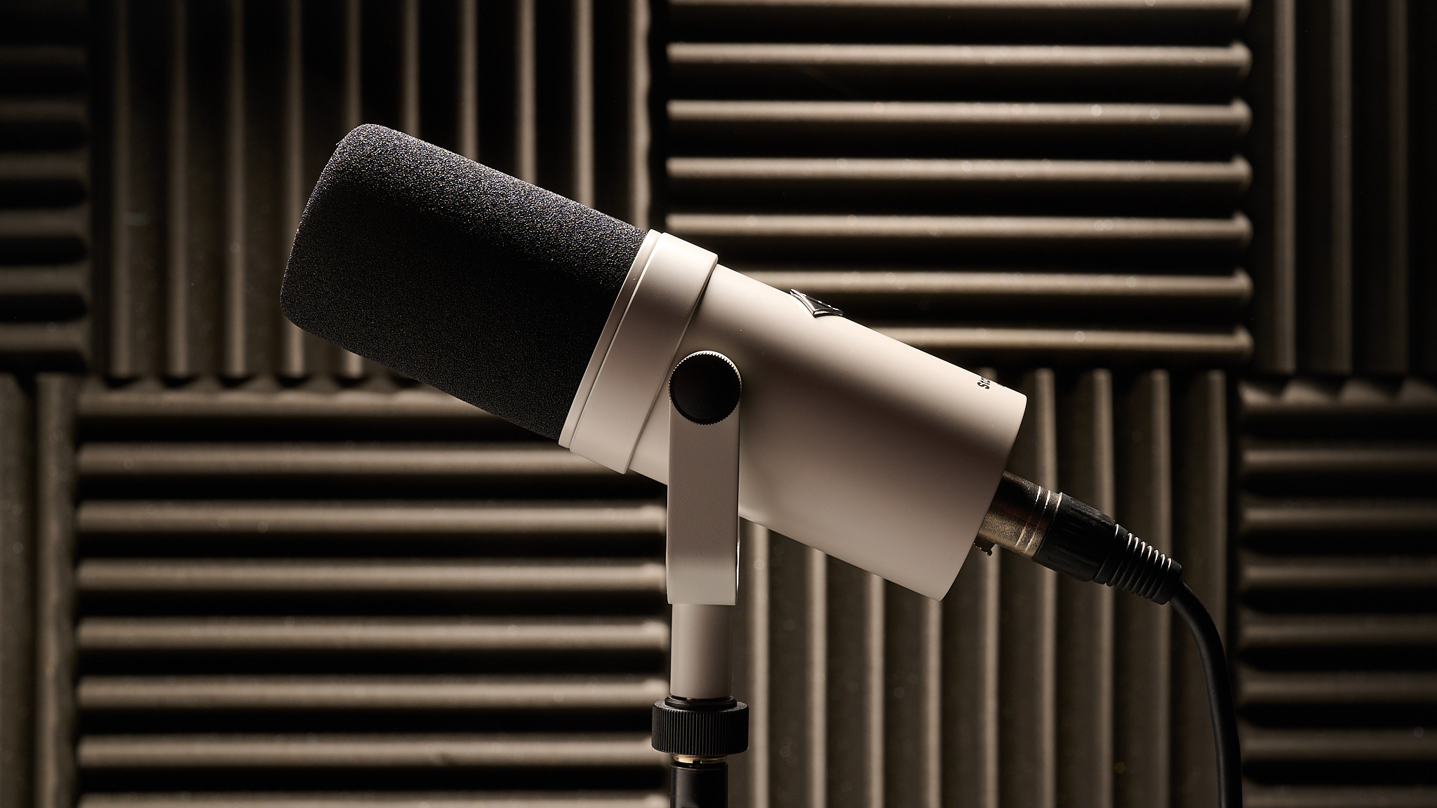 Best podcast microphone