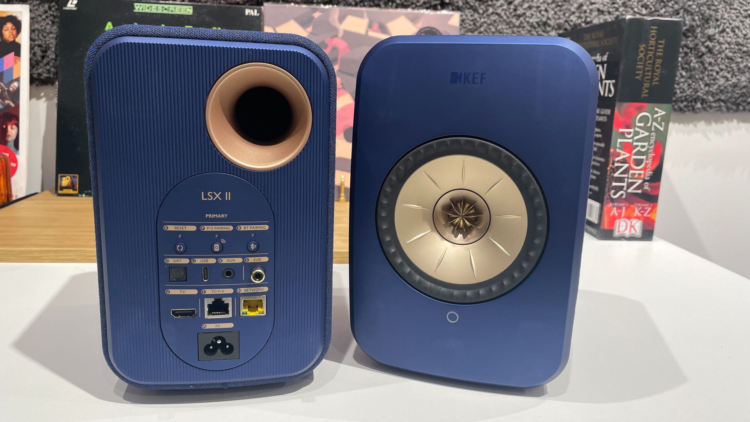 Best powered speakers