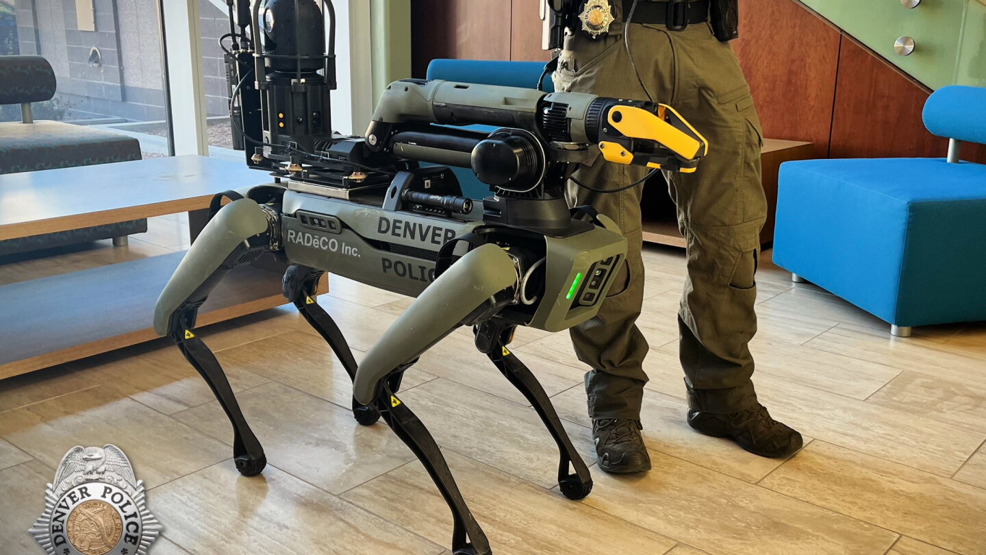 Best robot dog