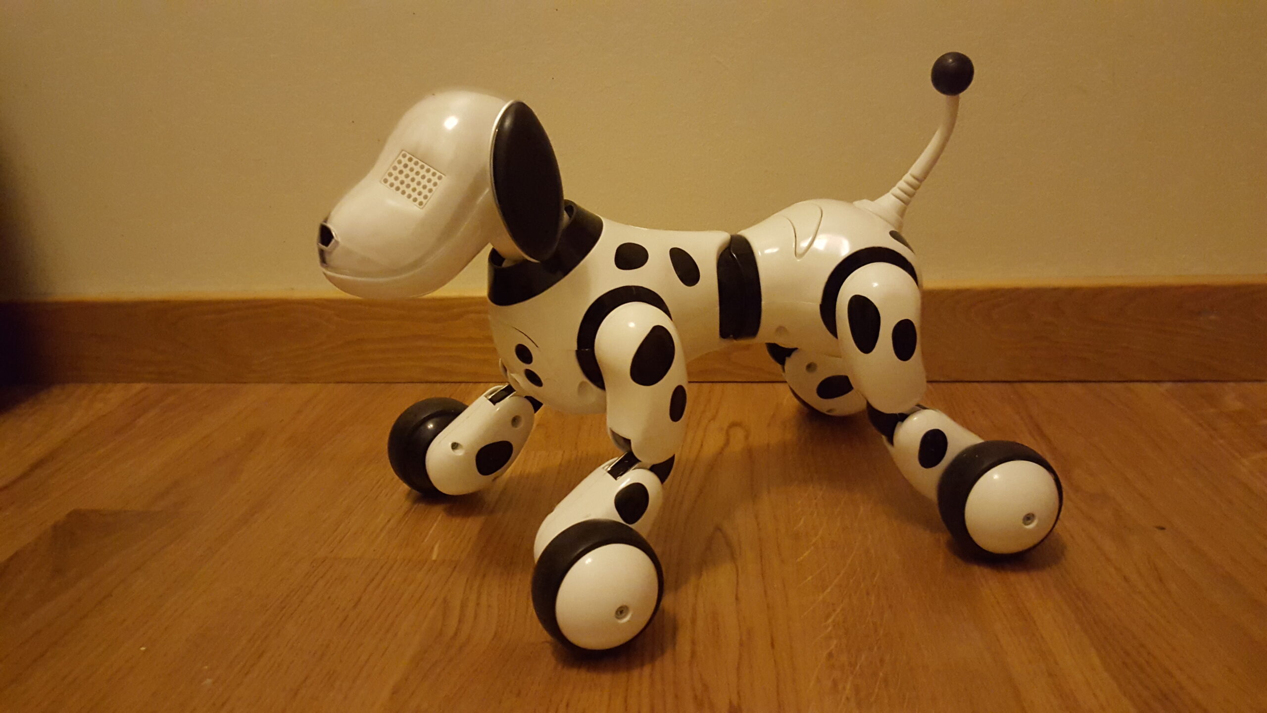 How to choose best robotic dogs
