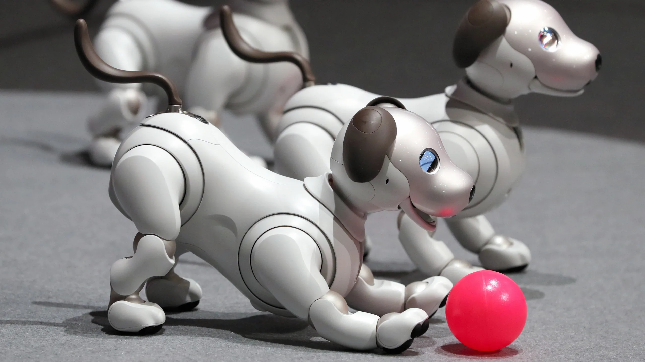 Best robotic dogs