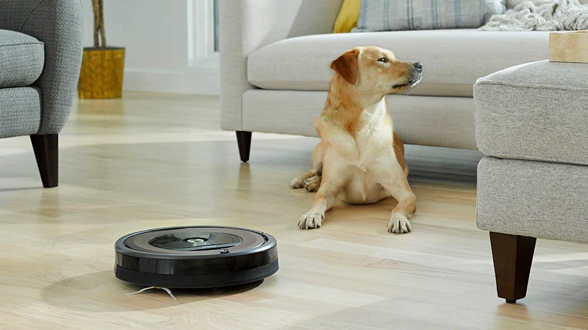 How to choose best roomba for pet hair