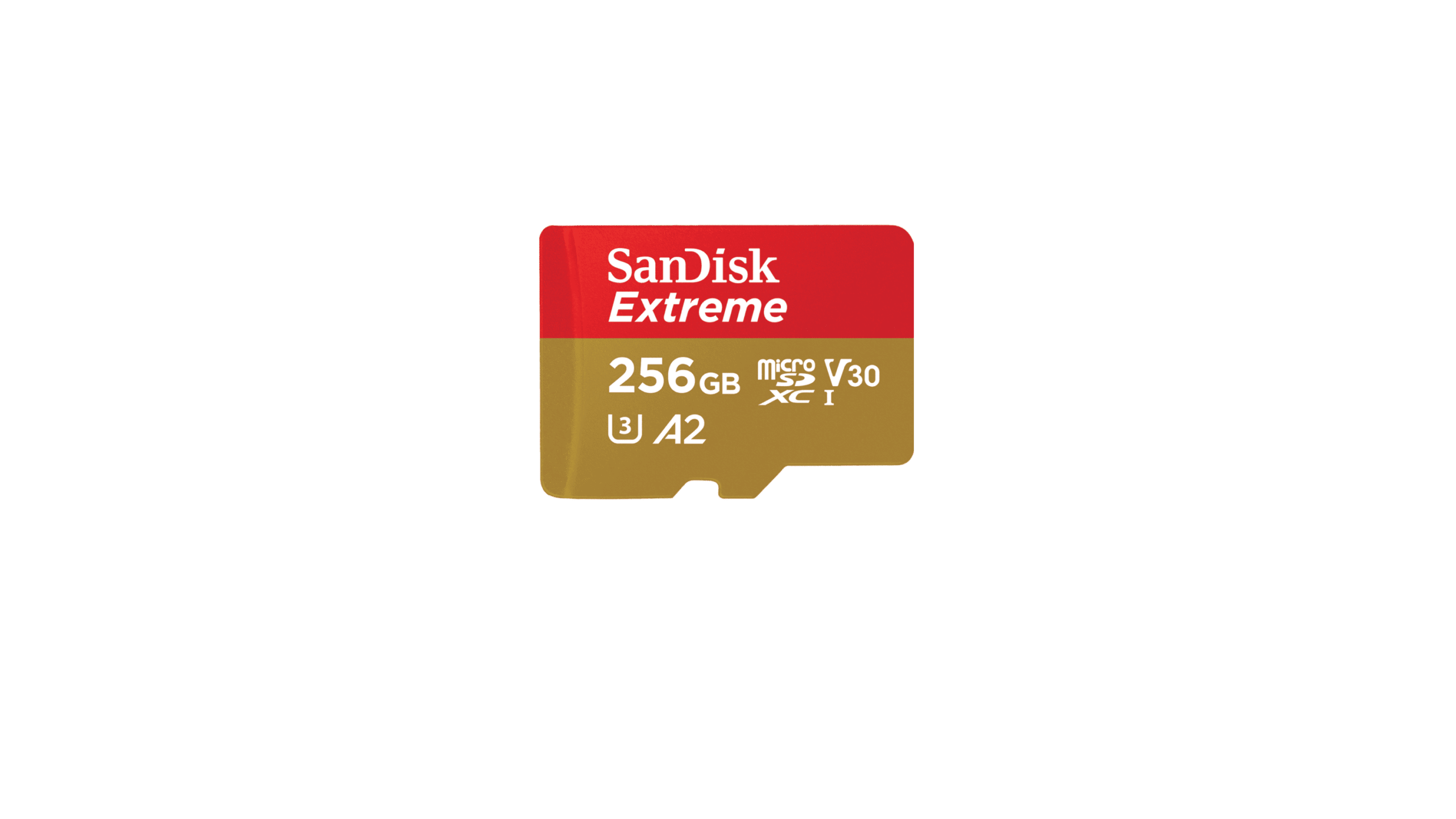 Best sd cards for cameras