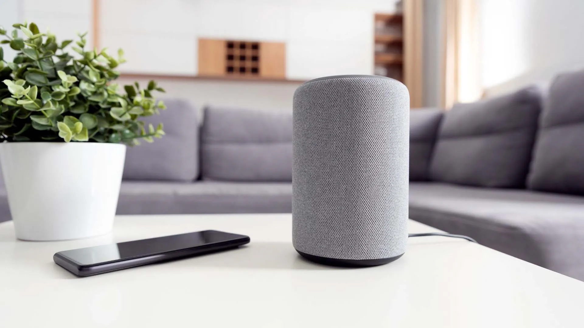 How to choose Best best smart speaker