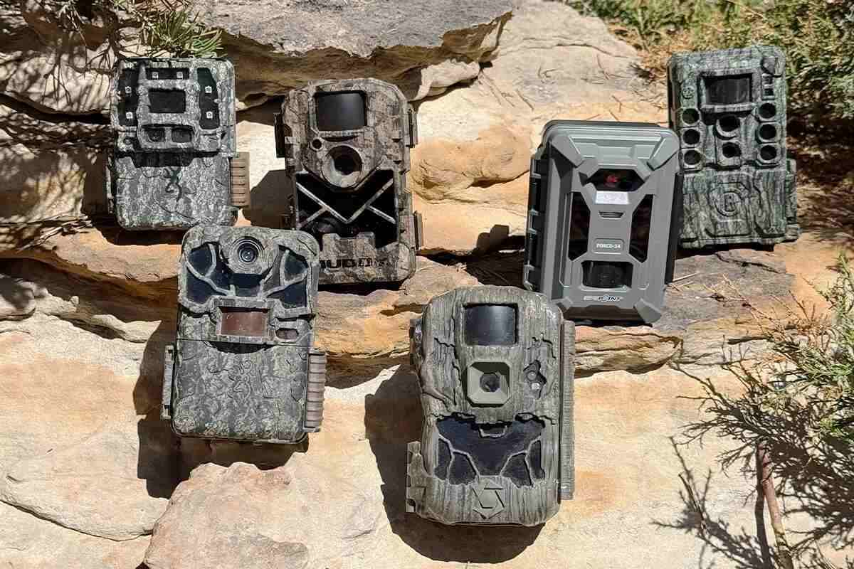 Best stealth trail camera