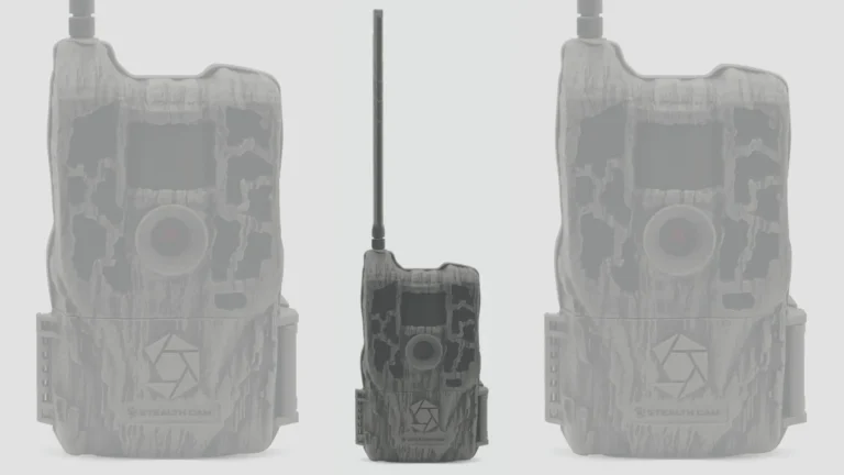 10 Best Stealth Trail Cameras (2026)