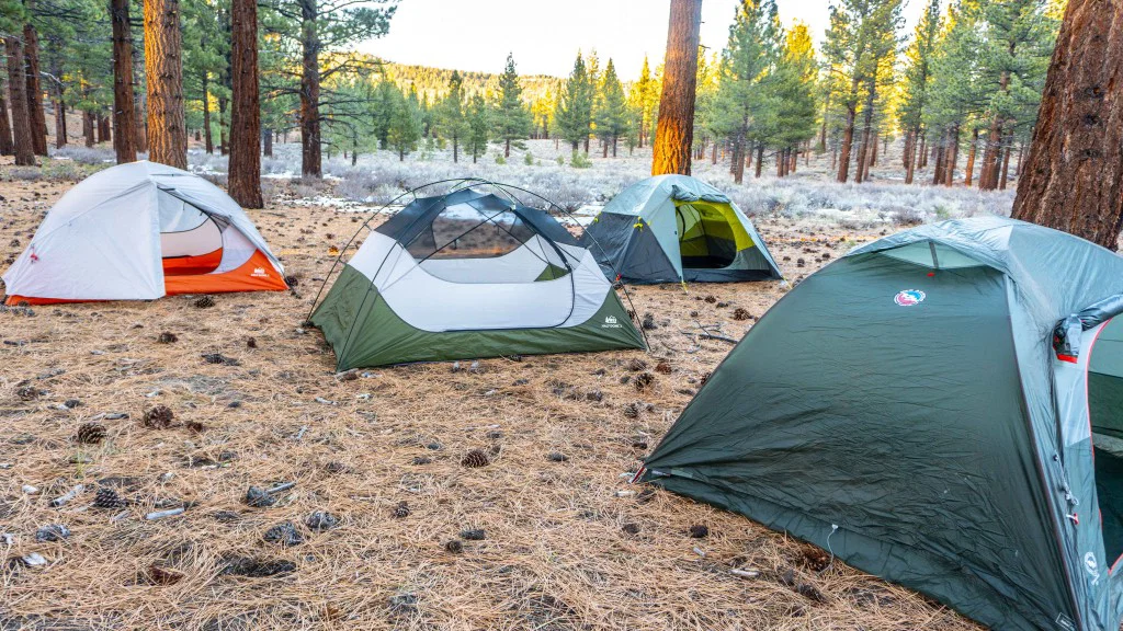 Best tents for camping