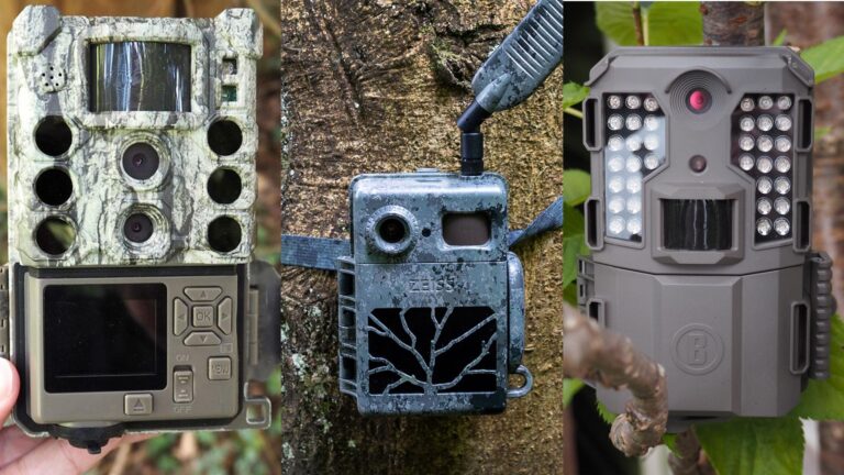 10 Best Trail Cameras for Beginners (2026)