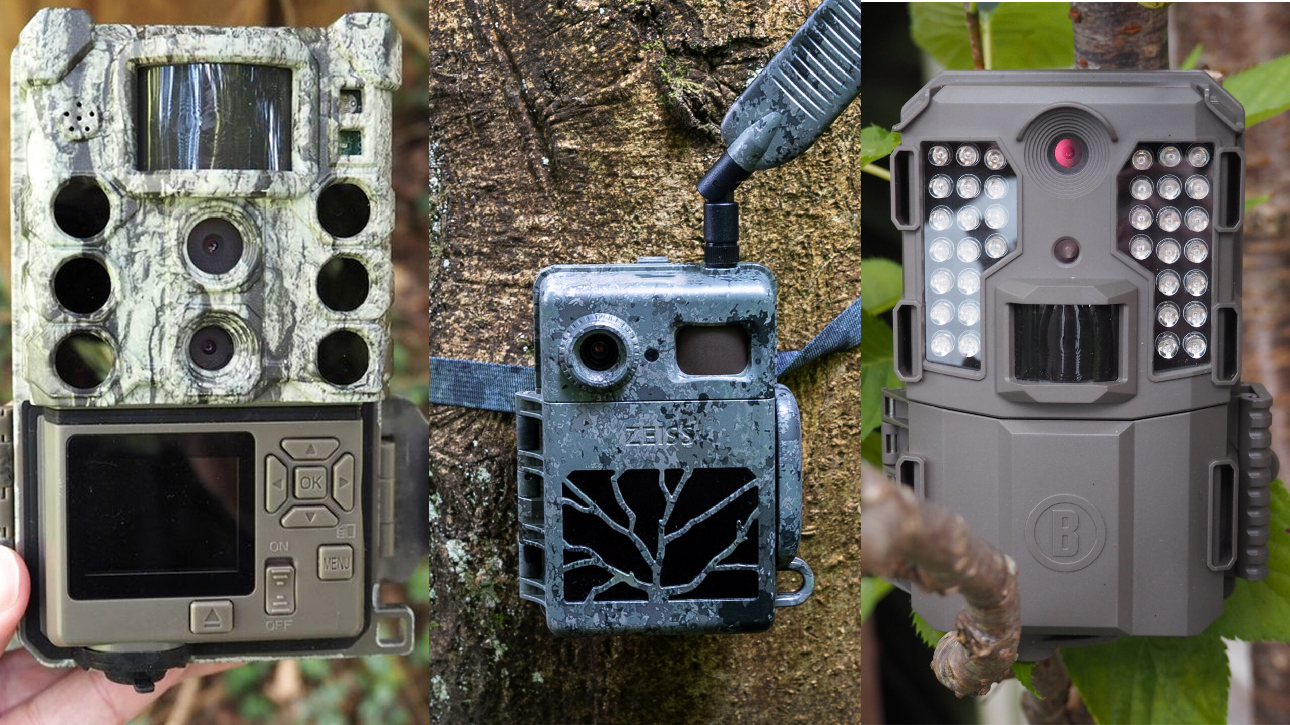 How to choose a trail camera for wildlife