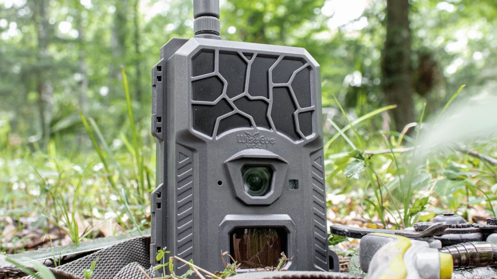 Best trail cameras for wildlife