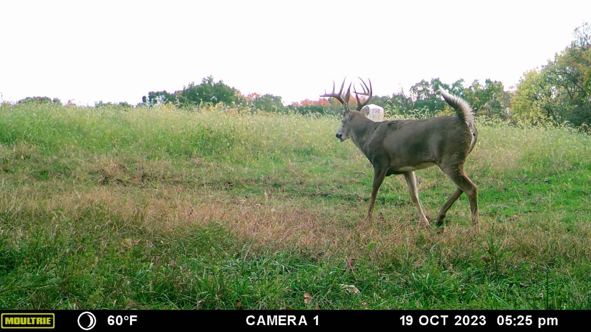 How to choose best trail cams