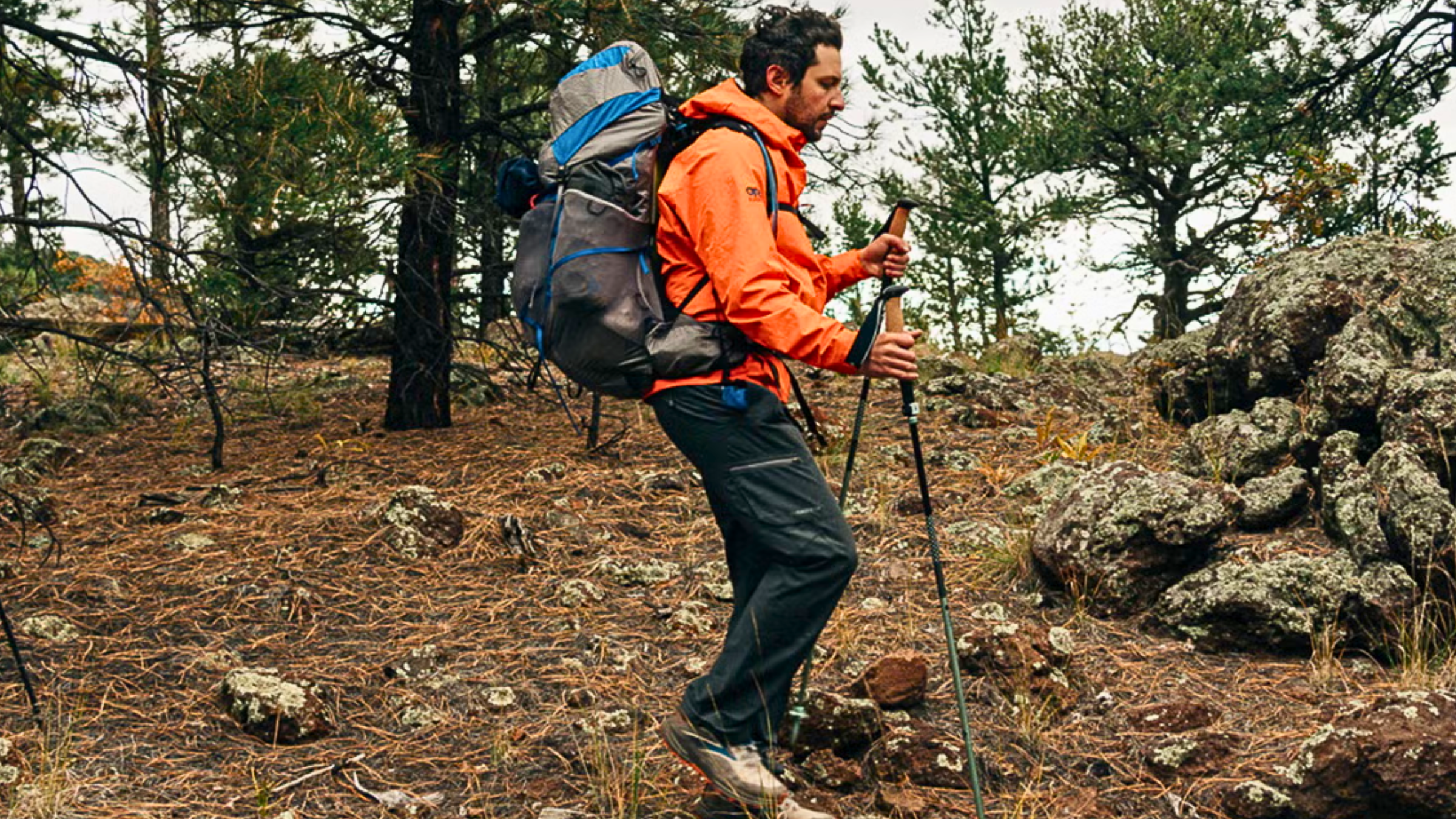 How to choose best trekking poles