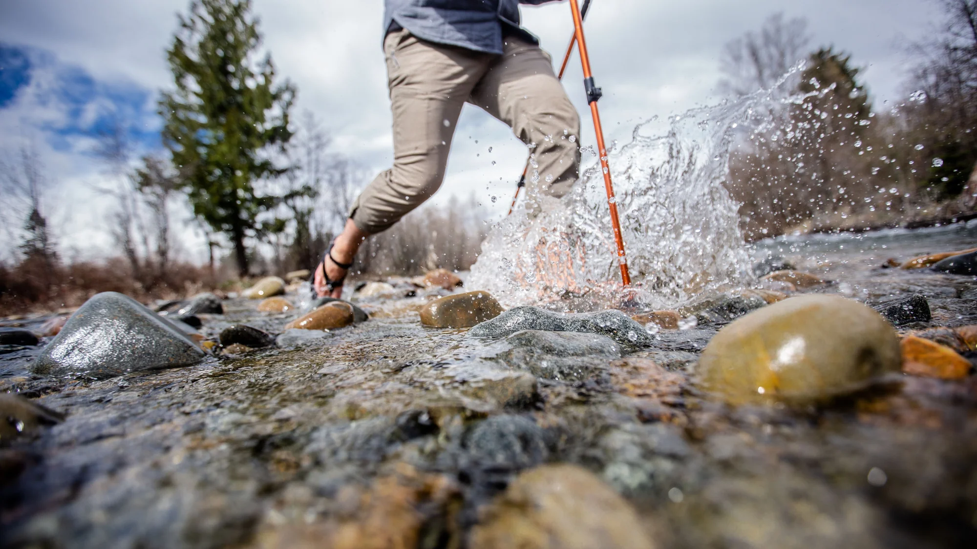 Best trekking poles