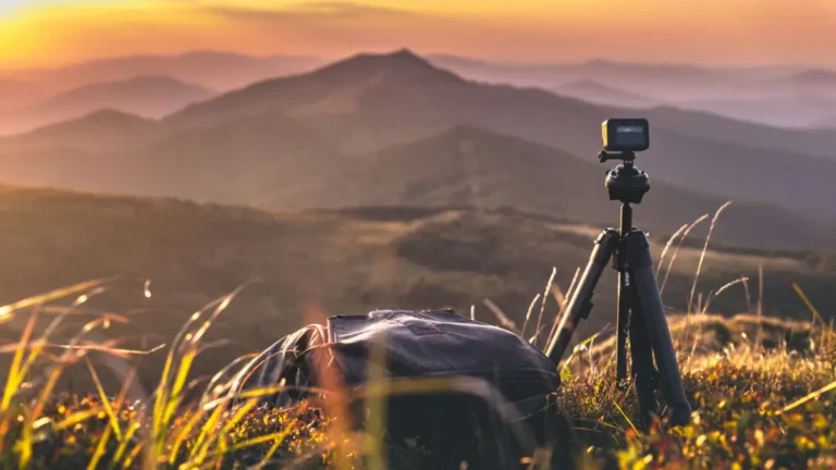 10 Best Tripods for Wildlife Photography (2026)