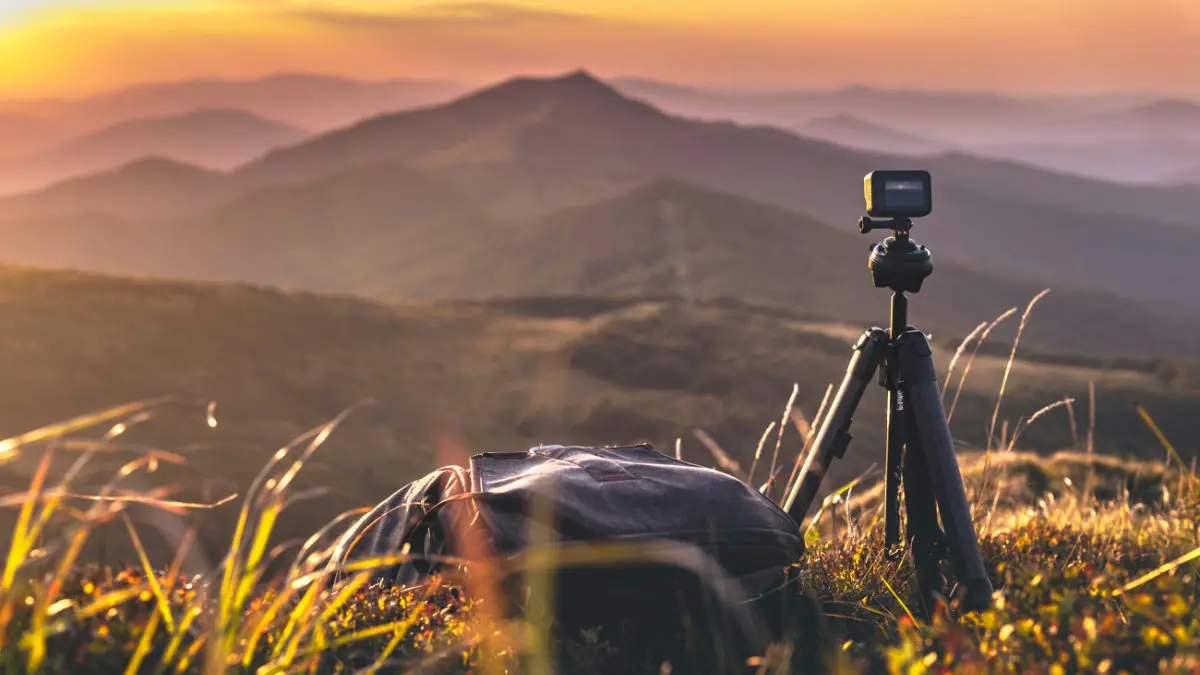 Best tripod for wildlife photography