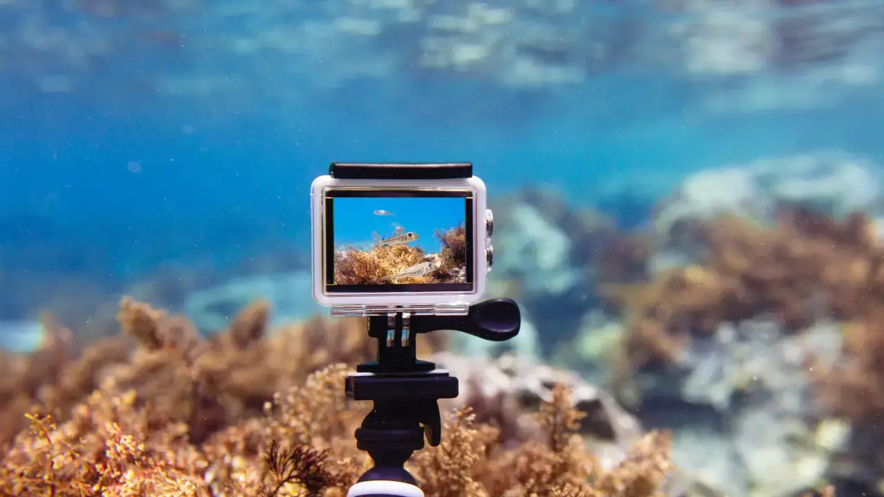 Best underwater camera