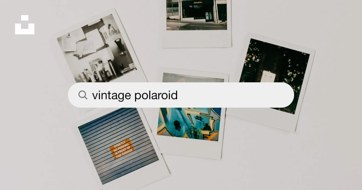 Best vintage polaroids