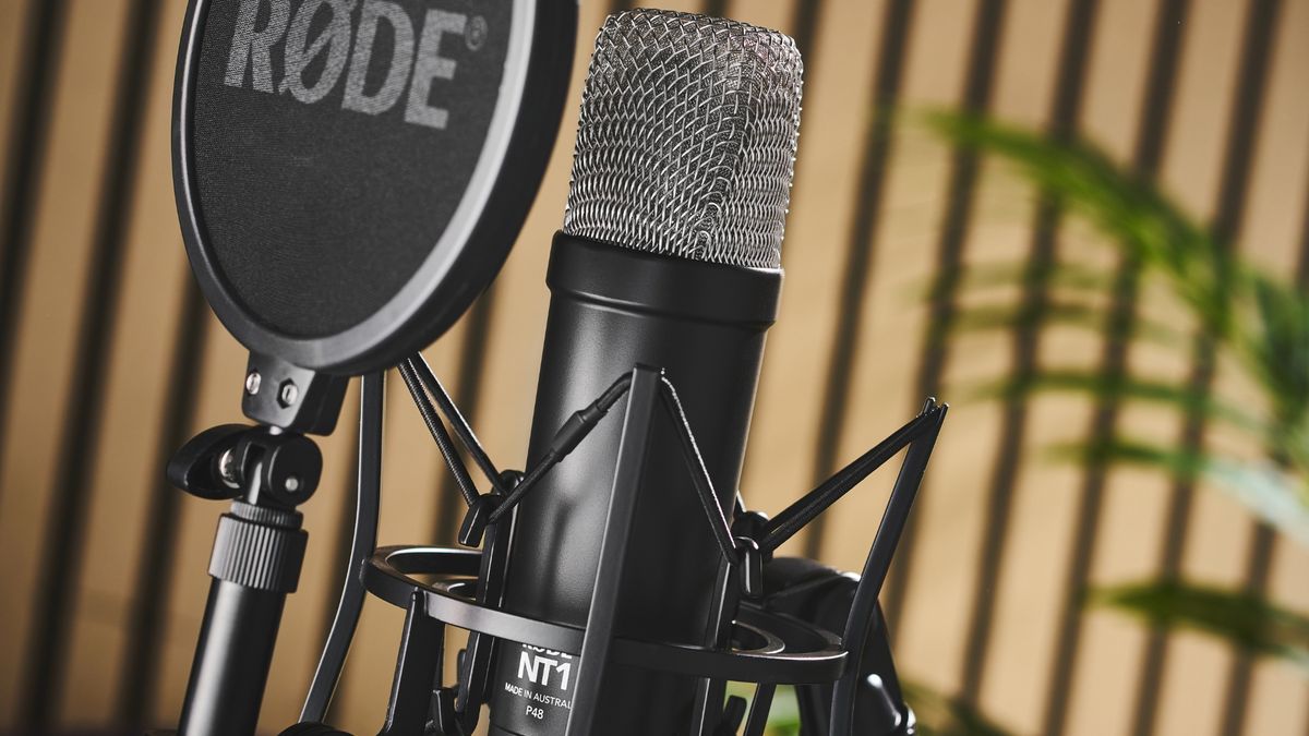 Best vocal mics for stage