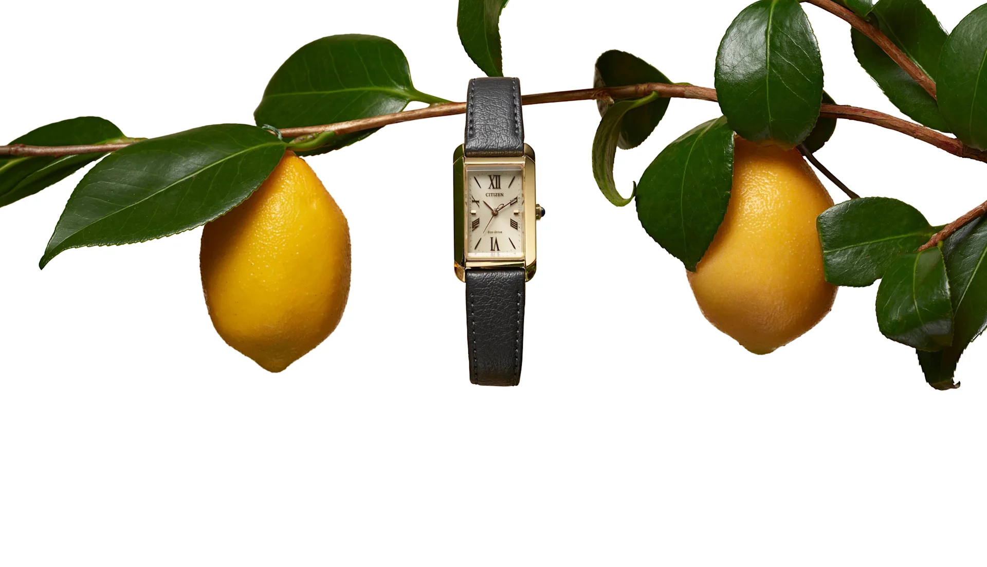 Best women's watches